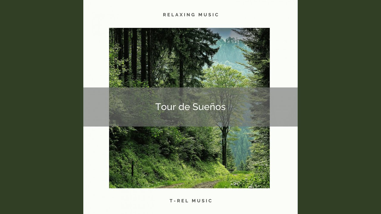 Get Ready for Relax with Natural Noises of Forest pt. 2