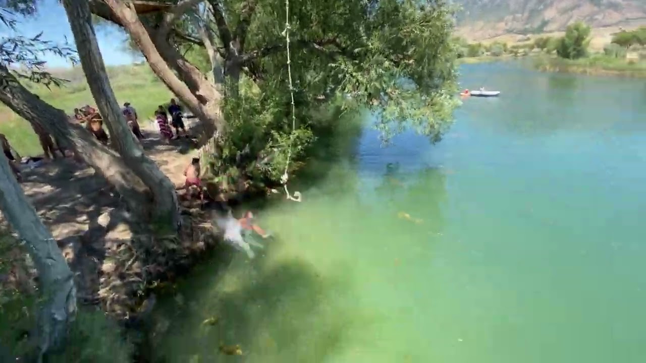 Guy goes on rope swing but lets go too early and falls in the water