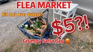 Grumpy Start, Muddy Flea Market… Still Scored BIG on a $95 Budget!