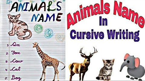 Animals Name In Cursive || Cursive Handwriting || Kidos Edu Point