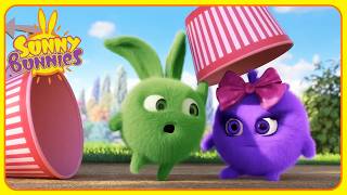 Hopper Wants Popcorn 🍿 | Sunny Bunnies | Funny Cartoons For Kids