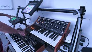 Abstract Data - @Studio Sessions Live