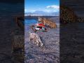 Simulate extreme hunting & survival skills vol159 rdr2 #shorts #short