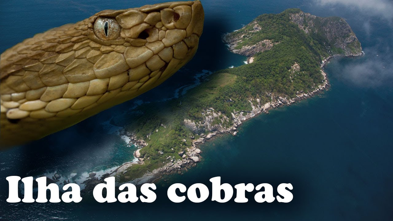 A VERDADE SOBRE A ILHA DAS COBRAS
