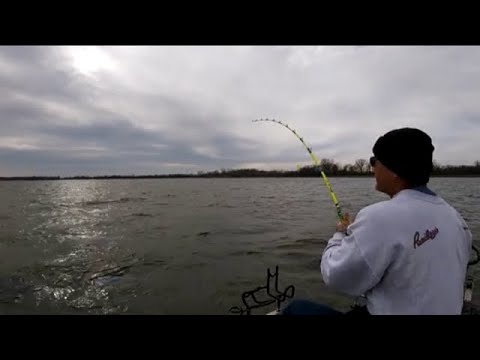 Catfishing With Mad Katz Bolt Rod 