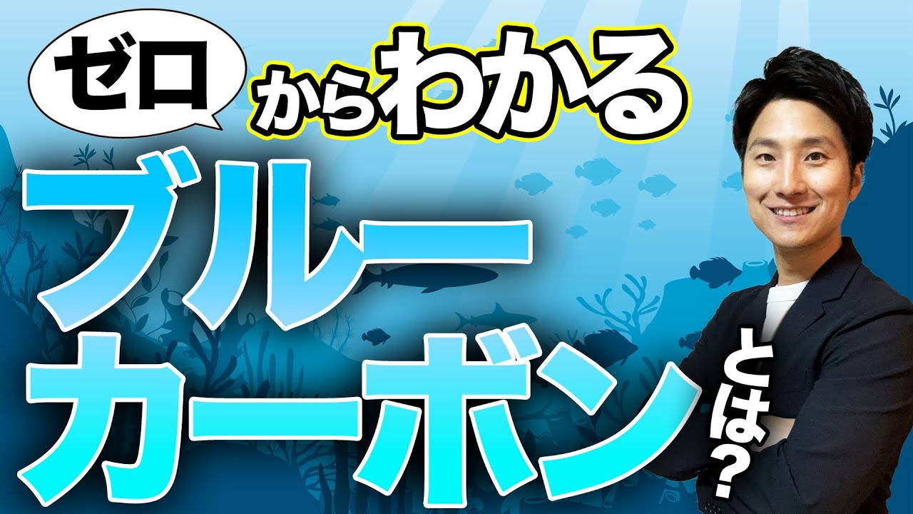 【ブルーカーボンとは】ブルーカーボンの基本知識をわかりやすく解説