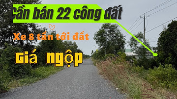 Cần bán 22 công đất giá 250tr 1 công huyện Thạnh hóa tỉnh Long An