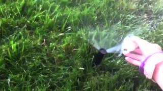 Pranking My Neighbor