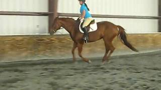 Jordan and Diva - Trot and Canter