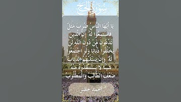 22 Al Hajj  Al Sheikh Ahmed Khedr الشيخ أحمد خضر   سورة الحج  30
