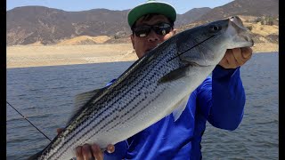 Fisherman's hobby: enjoyed and having fun fishing with friends on a
beautiful sunny california.