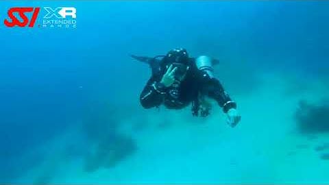 SSI XR Skill   Flutter Kick