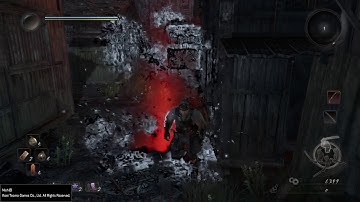 The Revenant System in Nioh