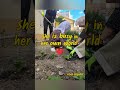 Building life between hobbies and dreams #inspiration #viral #lifeabroad #studentlife #foryou