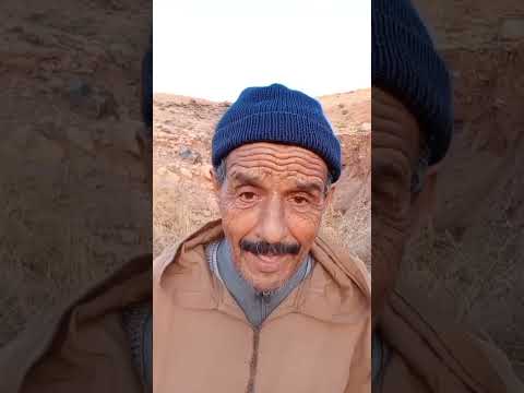 قصة القايد لحرث قبيلتو الشوك قصة مشوقة قصة مؤثرة