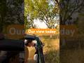 This is our view today #shorts #viralreels #viralvideo #viralshorts #views #threesiblings555