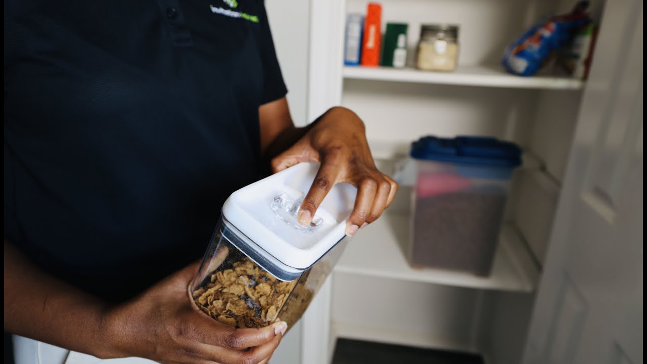 Pro Tip: How to maintain a pest free home