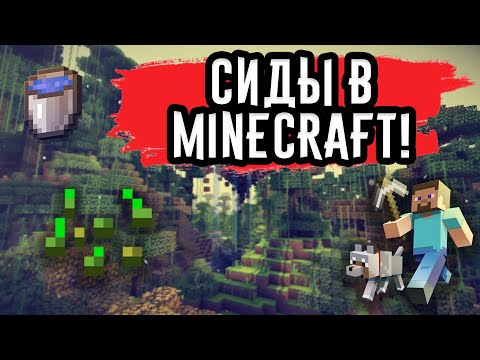 Видео: Как работает сид Minecraft?