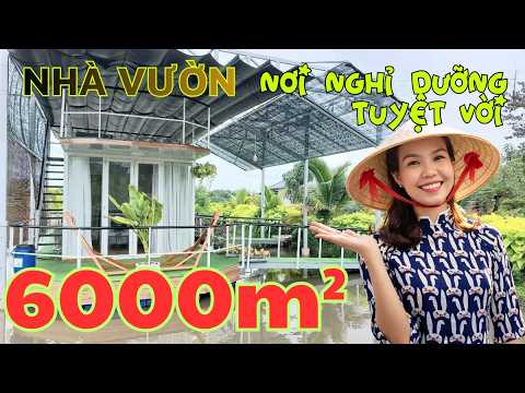 Video Nhà vườn tổng 6000m2 có 600m2 thổ cư Có đủ cây ăn... - youtube