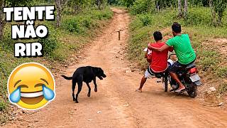 VÍDEOS ENGRAÇADOS 2026 😂 O QUE PODERIA DAR ERRADO? ABSOLUTAMENTE TUDO! 😅 - #69