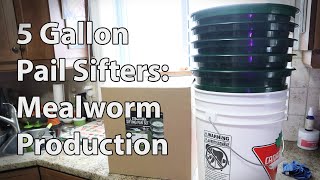 5 Gallon Pail Sifters: Helping with Mealworm Production