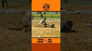 Tapha Mbeur Vs Ada Fass #luttesénégalaise #lamb #adafass #taphambeur #senegal