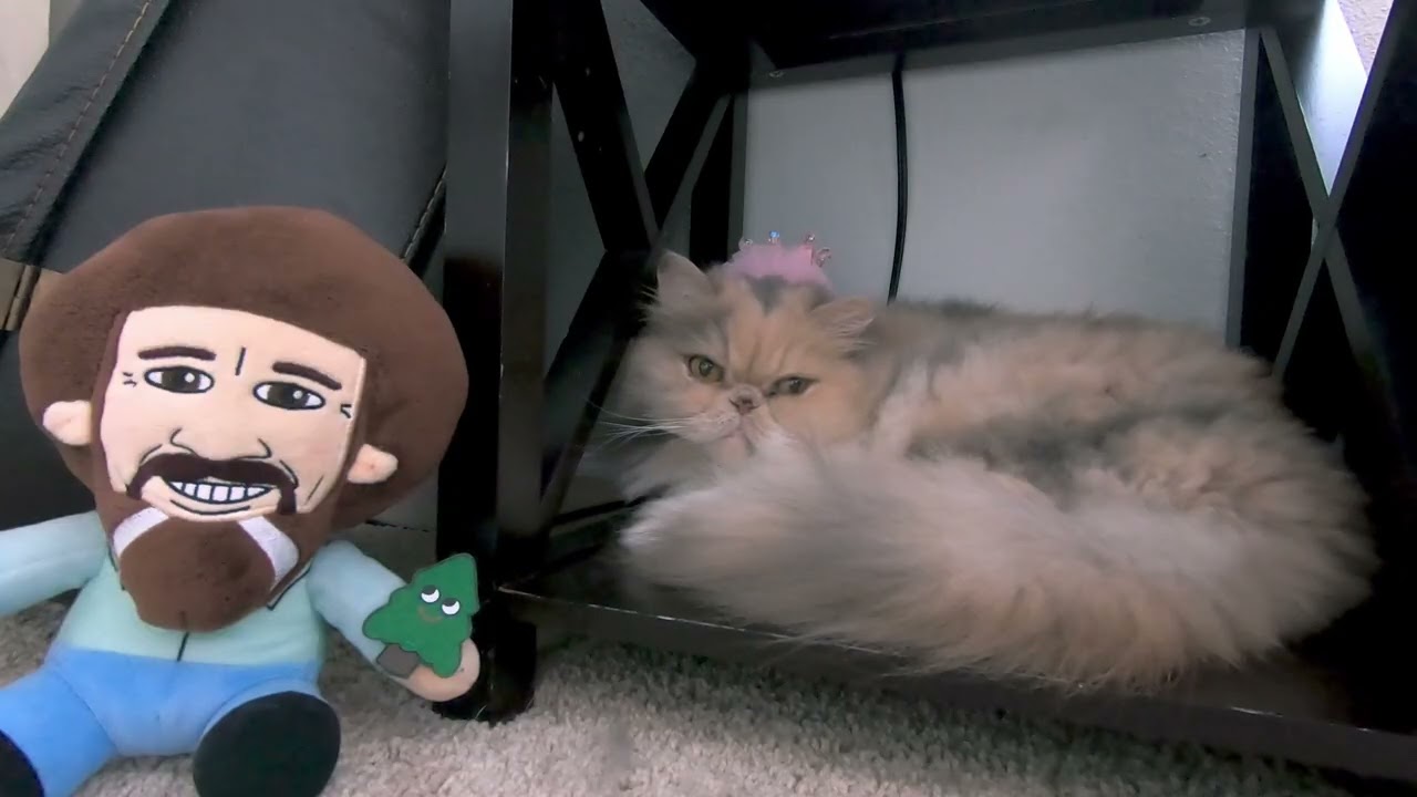 Princess Petunia and her Bob Ross Plush! Gentle Purrs & Relaxing Environmental Music