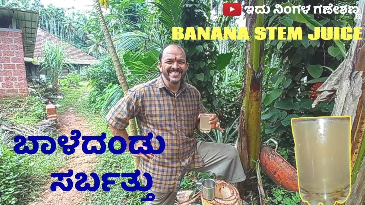 ಆರೊಗ್ಯವೃದ್ಧಿದಾಯಕ - ಬಾಳೆದಂಡು ಸರ್ಬತ್ತು | BANANA STEM JUICE