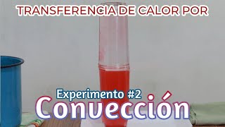 Experimento 2 Transferencia de Calor por Convección | Experimento casero | Termodinámica