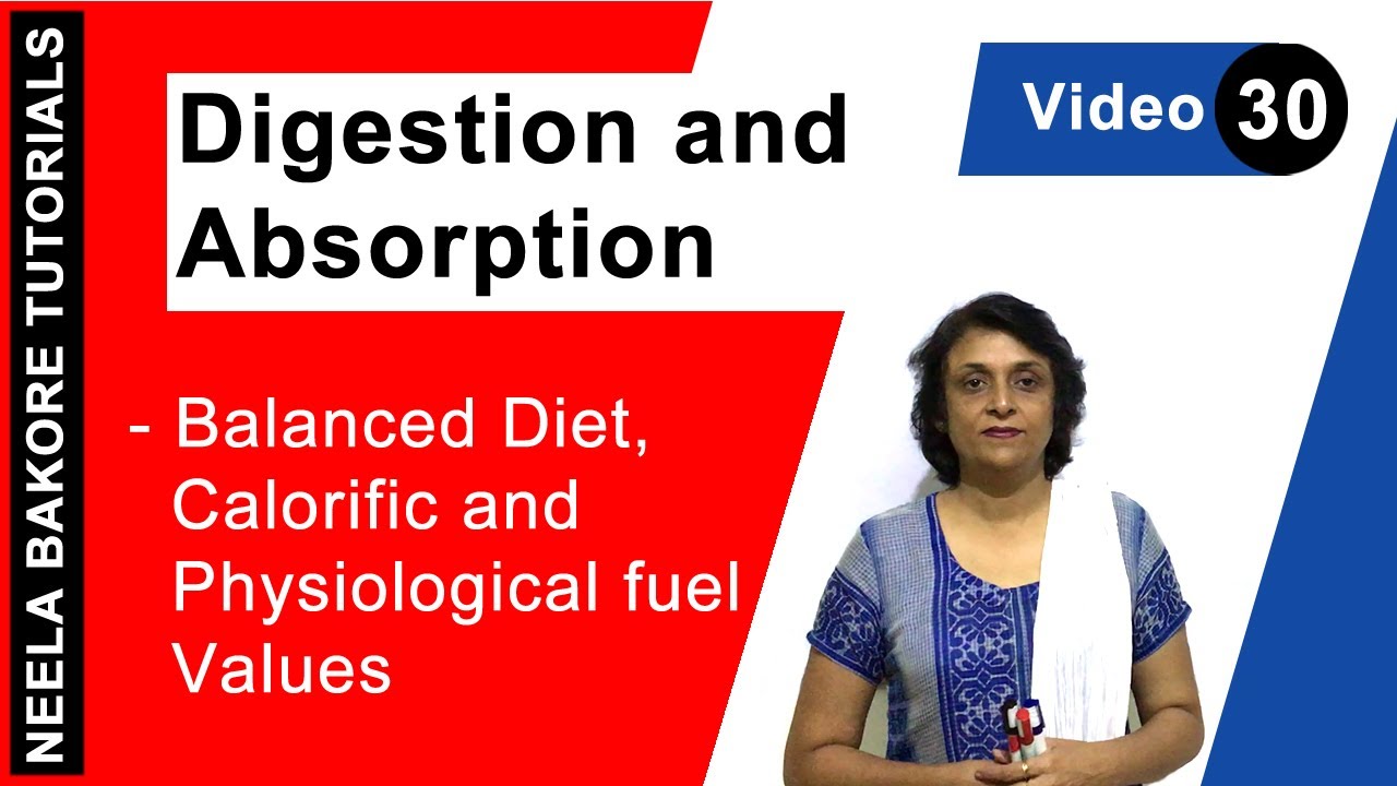 Digestion and Absorption - Balanced Diet, Calorific and Physiological fuel Values aiims result 2019