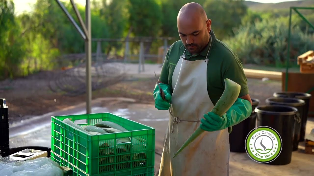 Aloe Vera Online Store | Finca Canarias