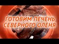 ГОТОВИМ ПЕЧЕНЬ СЕВЕРНОГО ОЛЕНЯ