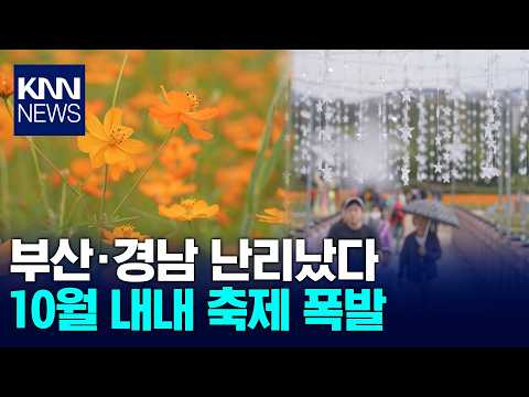 Busan and Gyeongnam, Full of Autumn Festivals / KNN