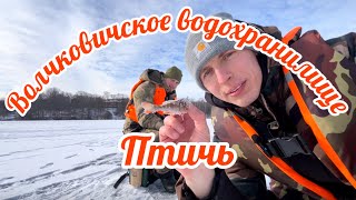 :      () - 22.02.2025