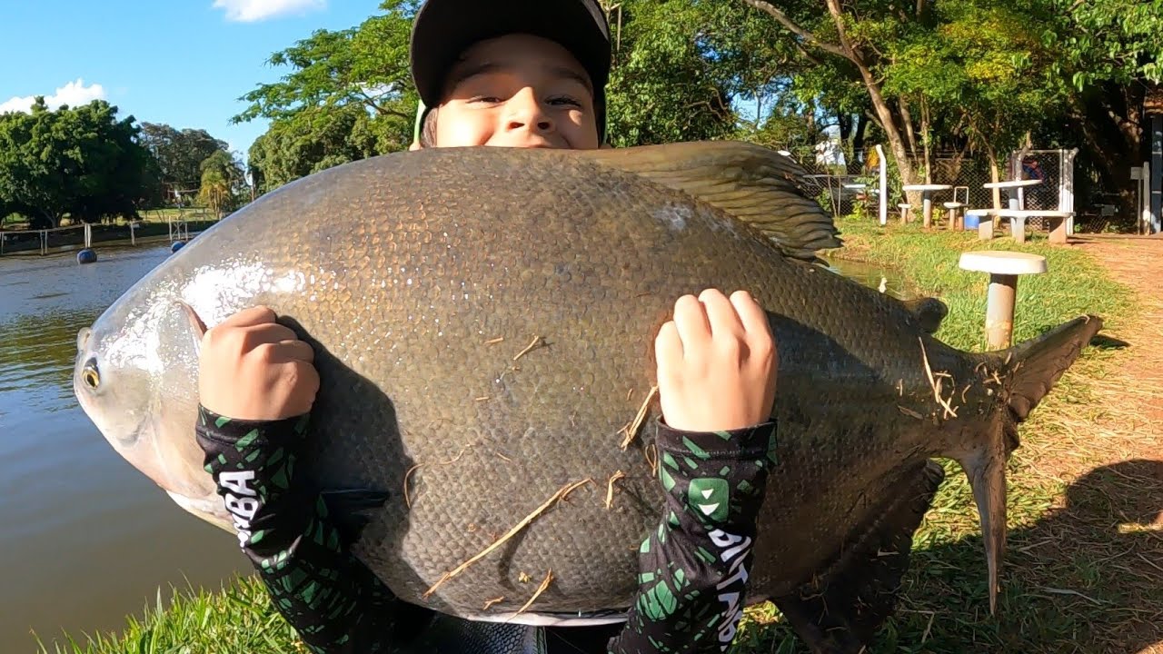A VENTANIA QUASE ATRAPALHOU!!! Pesqueiro Skifish Tarumã/SP - YouTube