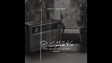 القارئ:محمود الحصري ، سورة:يوسف