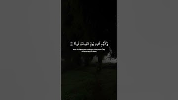 القرآن الكريم #quran #اكسبلور #المصحف #القرآن_راحة #لايك #القزابري #قرآن #دويتو #الرحمن #تيك_توك