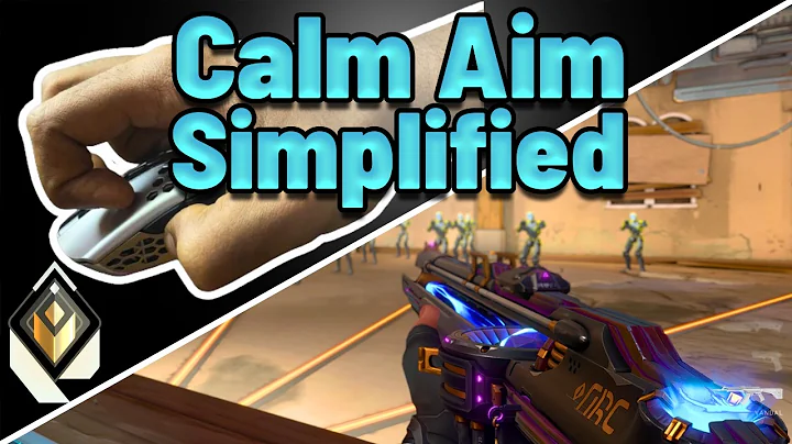Give Me 5 Minutes and You'll Get Calm Aim