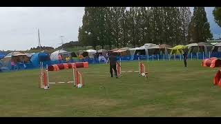 2022/10/9 JKC 東京都下アジリティクラブ競技会　吉見総合運動公園　JP記録用　みゅうみ