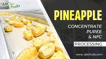 Pineapple Concentrate, Puree & NFC Manufacturing | Industrial Production Step-by-Step - ABC Fruits