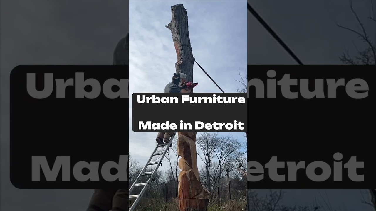 Sculpting Detroit Trees to benefit urban green spaces 