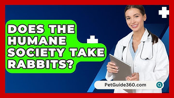 Does The Humane Society Take Rabbits? - PetGuide360.com