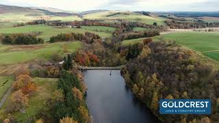 Goldcrest Land & Forestry Group | Den Of Ogil Reservoir & Woods
