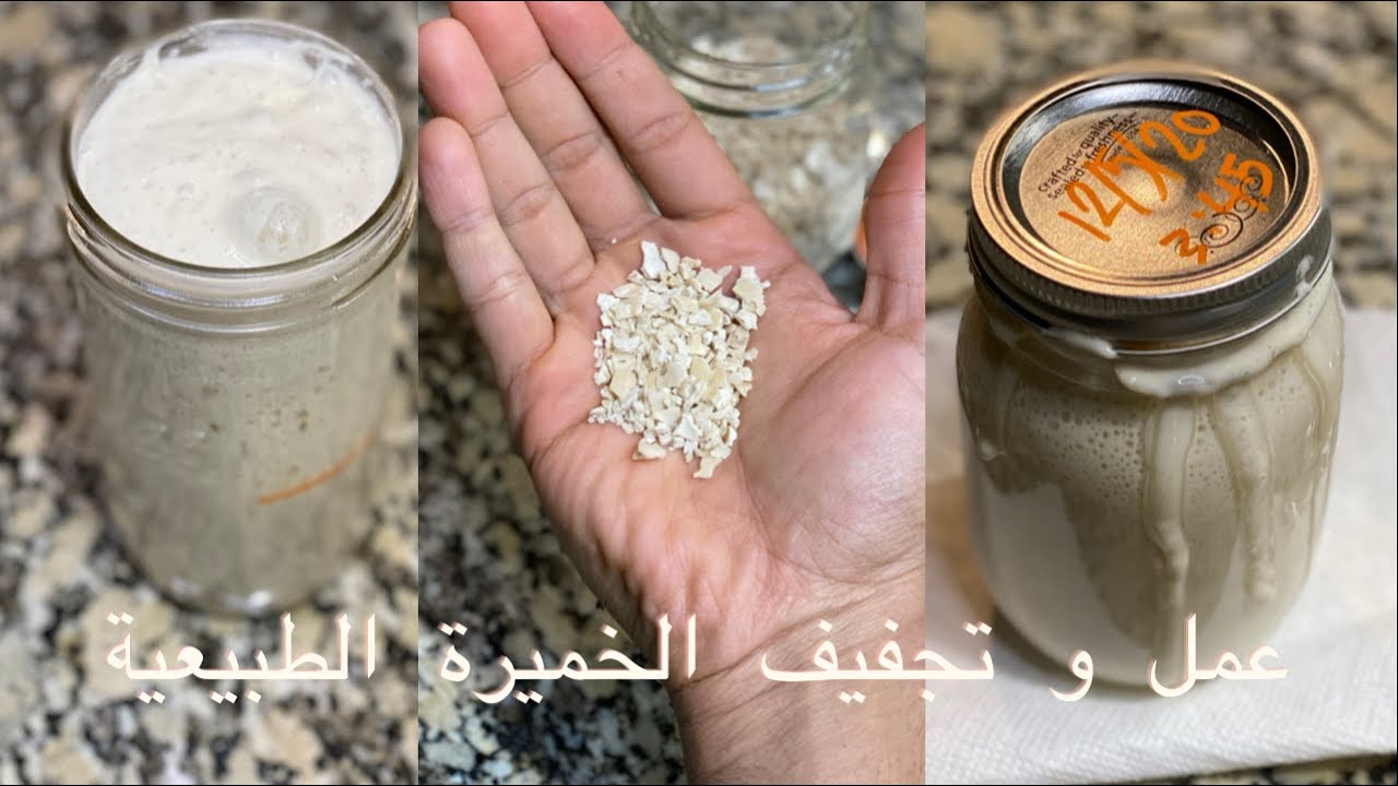 طريقة عمل الخميرة الطبيعية  مع طريقة التخزين والتجفيف | Sourdough Starter, Drying + Reviving