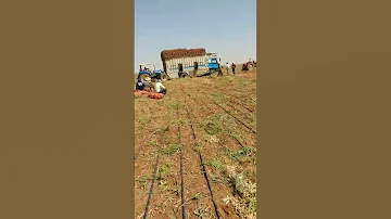 هانتوما الخوت لبغا يزرب كيتعطل 