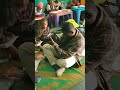 A Day With Kids 
