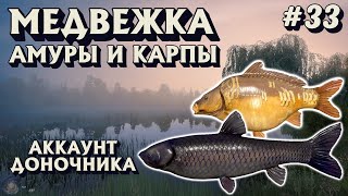 Аккаунт доночника #33 | Амур черный + Карпы | оз. Медвежье | Русская Рыбалка 4