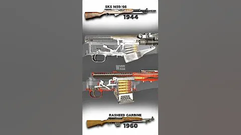 SKS rifle x Rasheed carbine