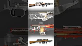 Sks Rifle X Rasheed Carbine