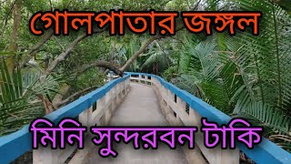Download lagu মিনি সুন্দরবন | Golpata Jungle | Keyapatar Jungle | Indo-Bangla Border | Taki